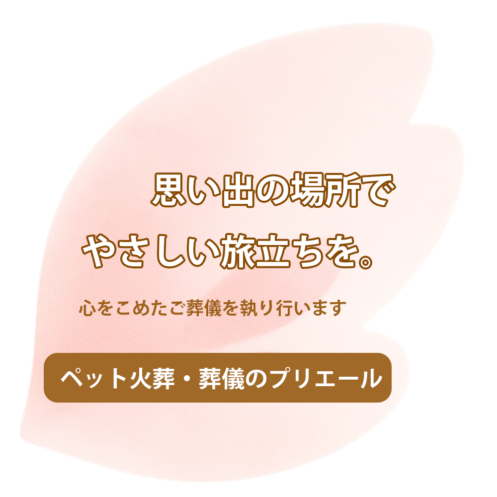ペットの写真 左